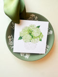 Non-Personalized limelight Hydrangea Gift Tag