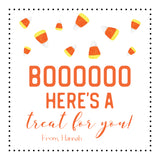 Kids Multi-holiday Pack