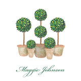 Boxwood Topiary Grouping