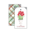 Holiday Amaryllis hangtag