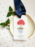 Holiday Amaryllis hangtag