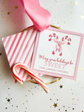 Candy Canes with Pink Bow Tiny Tag