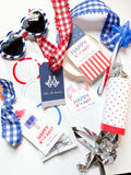 4th of July popsicle hangtag