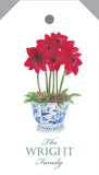 Watercolor Amaryllis {hangtag}