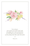Spring Scripture Card Set