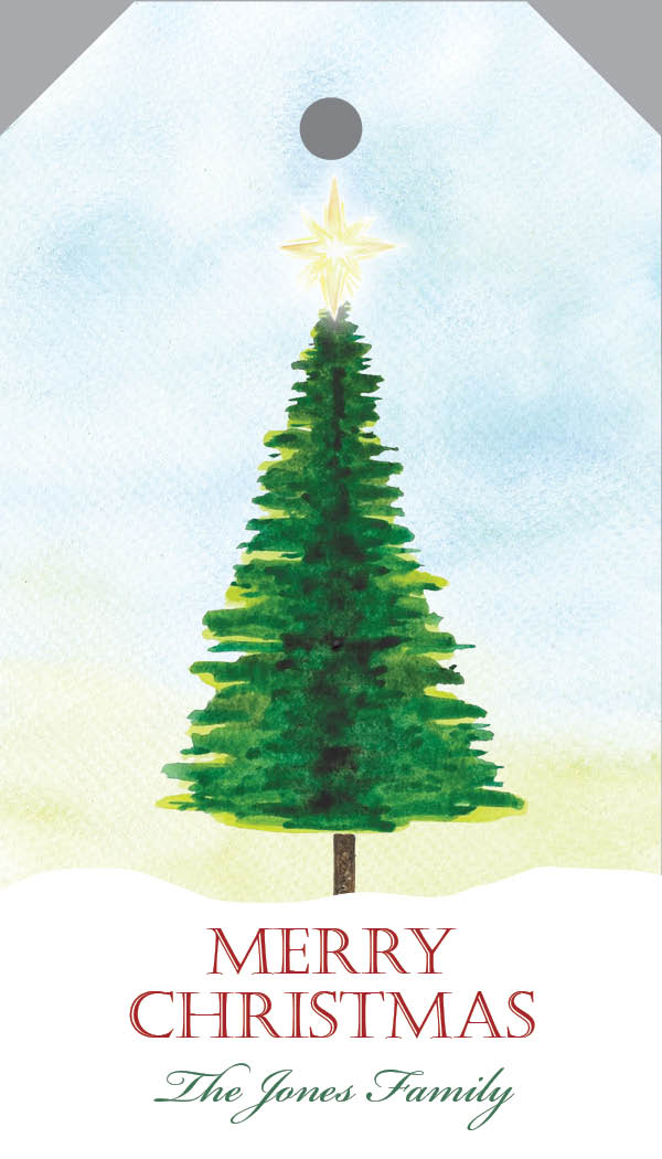 Pine Tree with Star{hangtag} – Tiny Tag Co.